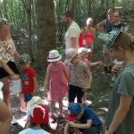 phoca_thumb_m_pohdkov les 186 Fotogalerie
